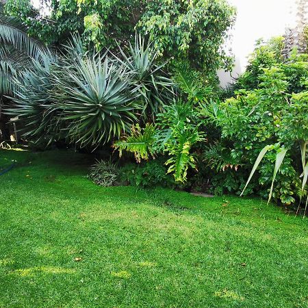 شقة Mulberry Gardens Self Catering سواكوبموند المظهر الخارجي الصورة
