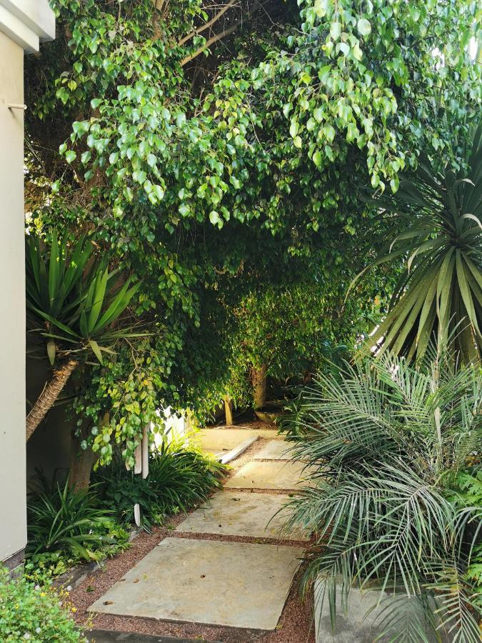شقة Mulberry Gardens Self Catering سواكوبموند المظهر الخارجي الصورة